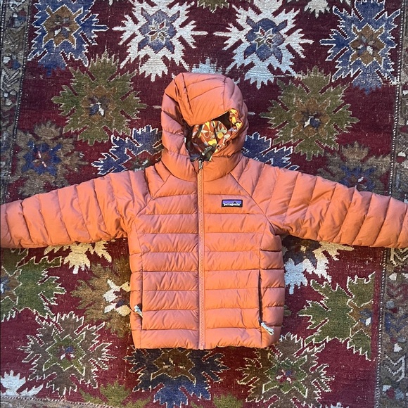 Patagonia Other - 3T Patagonia reversible down hoody